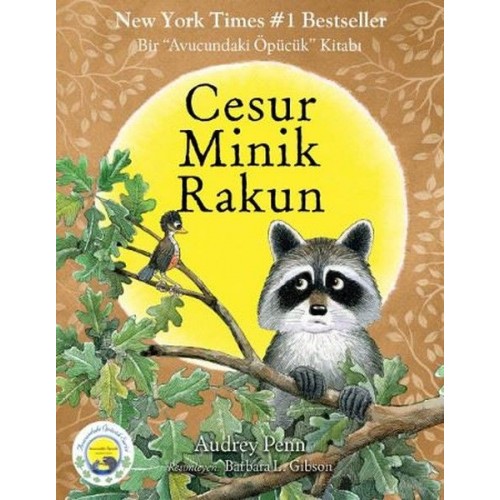 Cesur Minik Rakun