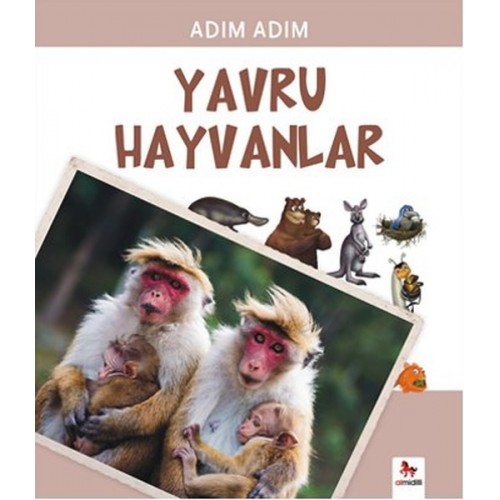 Adım Adım - Yavru Hayvanlar