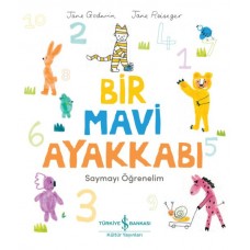 Bir Mavi Ayakkabı - Saymayı Öğrenelim