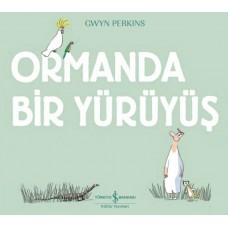 Ormanda Bir Yürüyüş