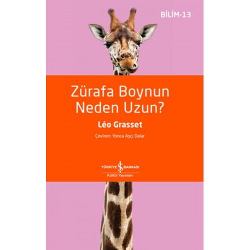 Zürafa Boynun Neden Uzun?