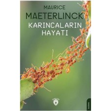 Karıncaların Hayatı