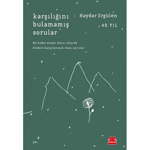 Karşılığını Bulamamış Sorular