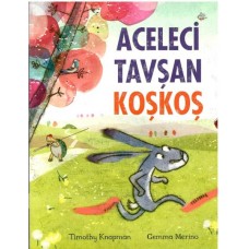 Aceleci Tavşan KoşKoş