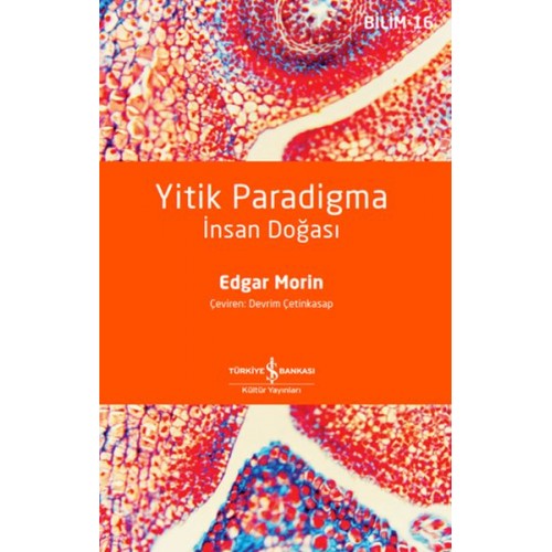 Yitik Paradigma: İnsan Doğası