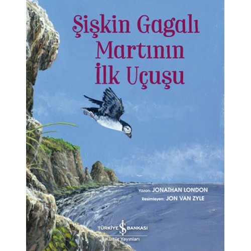 Şişkin Gagalı Martının İlk Uçuşu