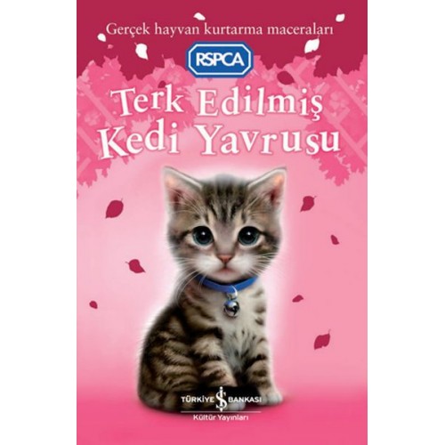 Terk Edilmiş Kedi Yavrusu