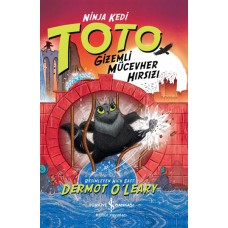 Ninja Kedi Toto – Gizemli Mücevher Hırsızı