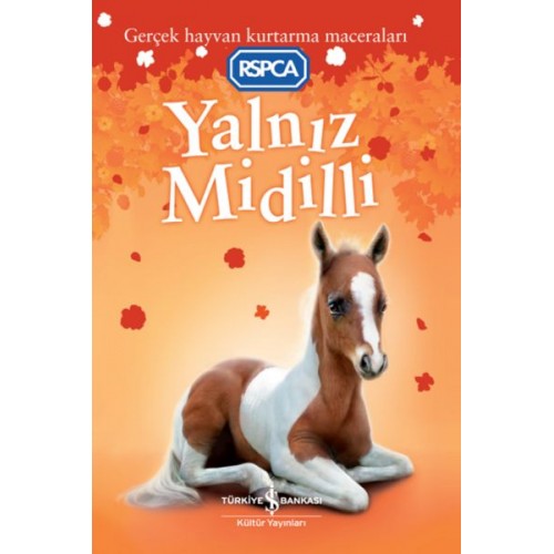 Yalnız Midilli