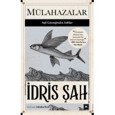 Mülahazalar