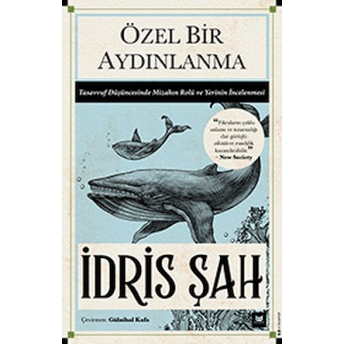 Özel Bir Aydınlanma