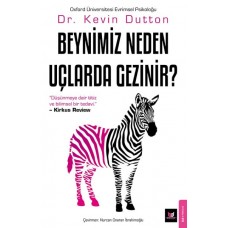 Beynimiz Neden Uçlarda Gezinir?