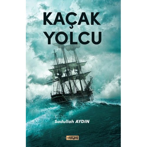 Kaçak Yolcu