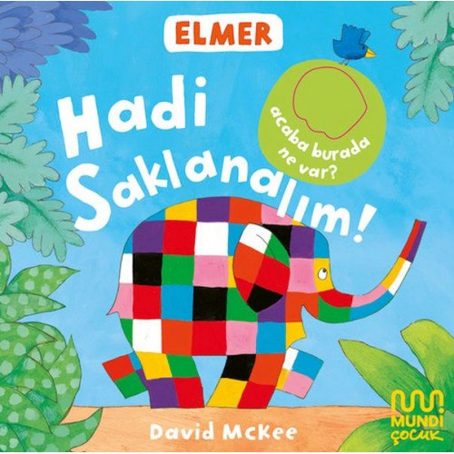 Elmer Kütüphanesi Hadi Saklanalım!