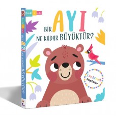 Bir Ayı Ne Kadar Büyüktür? – Kaydır + Keşfet