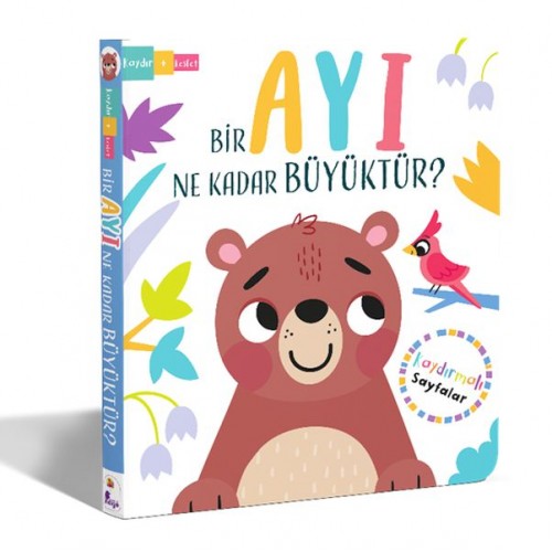 Bir Ayı Ne Kadar Büyüktür? – Kaydır + Keşfet