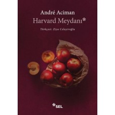 Harvard Meydanı