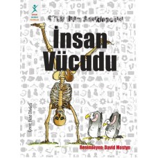 İnsan Vücudu