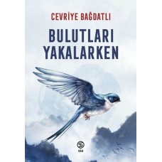 Bulutları Yakalarken