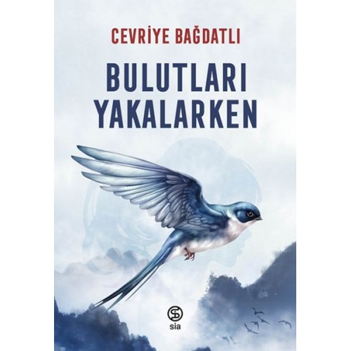 Bulutları Yakalarken