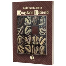 Duyguların Labirenti