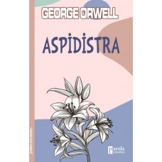 Aspidistra