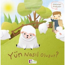 Oluşum Hikayeleri - Yün nasıl oluşur?