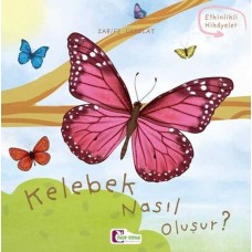 Oluşum Hikayeleri - Kelebek nasıl oluşur?