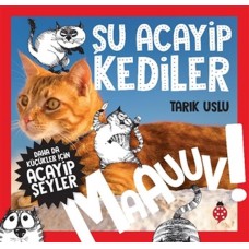 Daha Küçükler İçin Şu Acayip Kediler