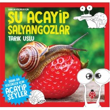 Daha Küçükler İçin Şu Acayip Salyangozlar