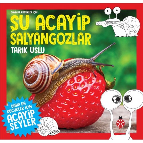 Daha Küçükler İçin Şu Acayip Salyangozlar