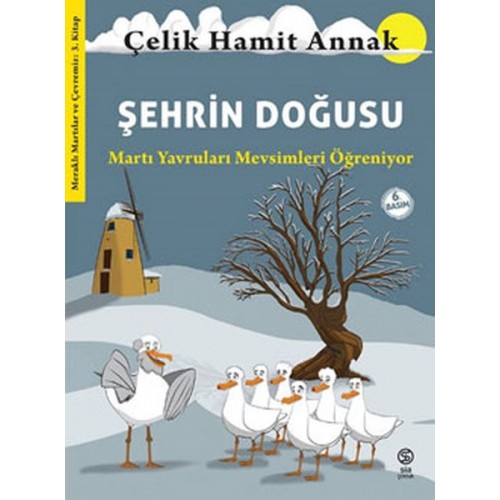 Şehrin Doğusu: Martı Yavruları Mevsimleri Öğreniyor - Meraklı Martılar ve Çevremiz 3. Kitap