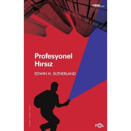 Profesyonel Hırsız