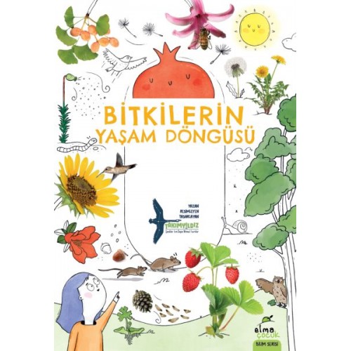 Bitkilerin Yaşam Döngüsü