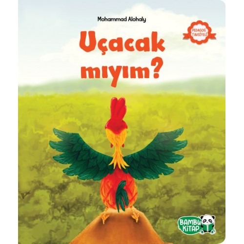 Uçacak mıyım?