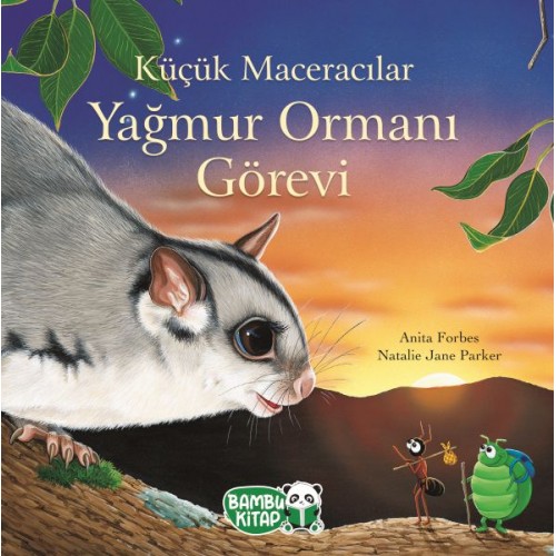 Küçük Maceracılar - Yağmur Ormanı Görevi