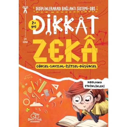 Dikkat Zeka (2 Yaş)