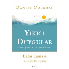 Yıkıcı Duygular