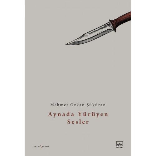 Aynada Yürüyen Sesler