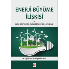 Enerji-Büyüme İlişkisi ve Enerji Büyüme İlişkisini Etkileyen Unsurlar