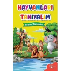 Muhteşem Çizimler ve Kolay Anlatım ile Hayvanları Tanıyalım Orman Hayvanları