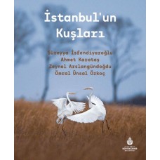 İstanbulun Kuşları