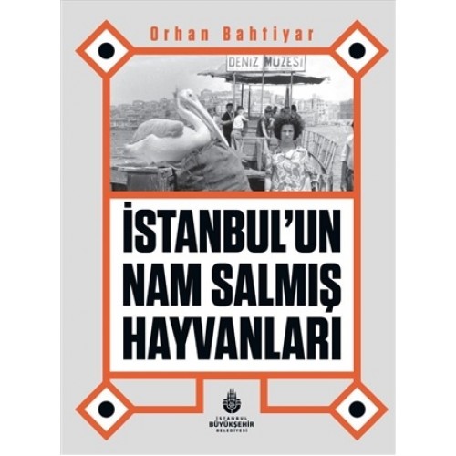 İstanbul’un Nam Salmış Hayvanları