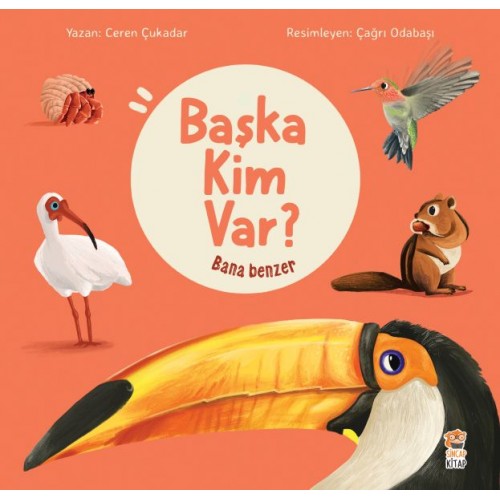 Bana Benzer - Başka Kim Var