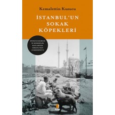 İstanbul’un Sokak Köpekleri