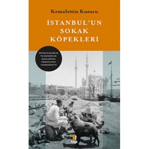 İstanbul’un Sokak Köpekleri