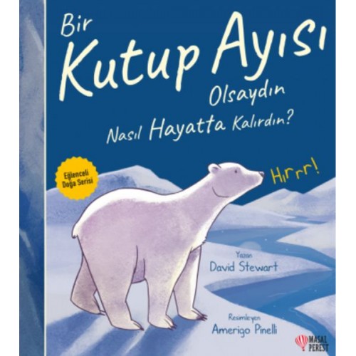 Bir Kutup Ayısı Olsaydın Nasıl Hayatta Kalırdın?