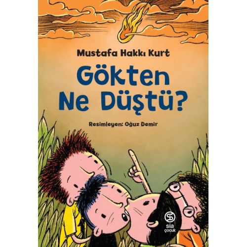 Gökten Ne Düştü?