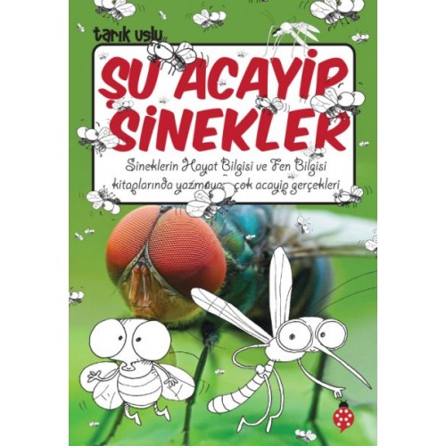 Şu Acayip Sinekler