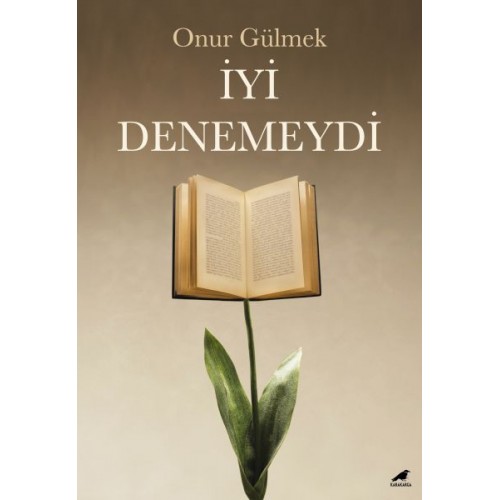 İyi Denemeydi